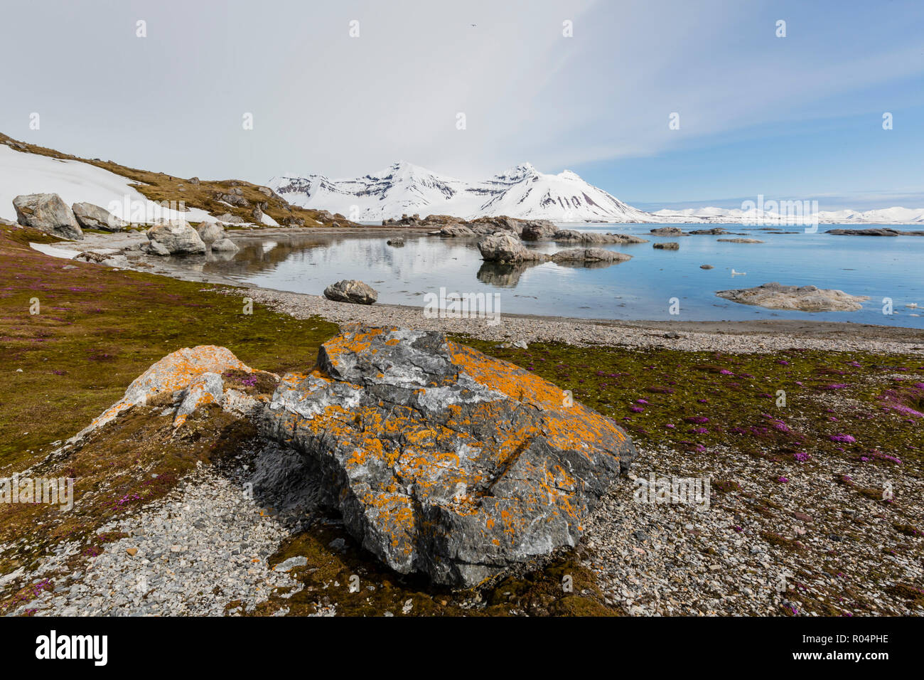 Elegante coperchio di licheni rocce al Gnalodden, Hornsund, Spitsbergen, Svalbard artico, Norvegia, Europa Foto Stock