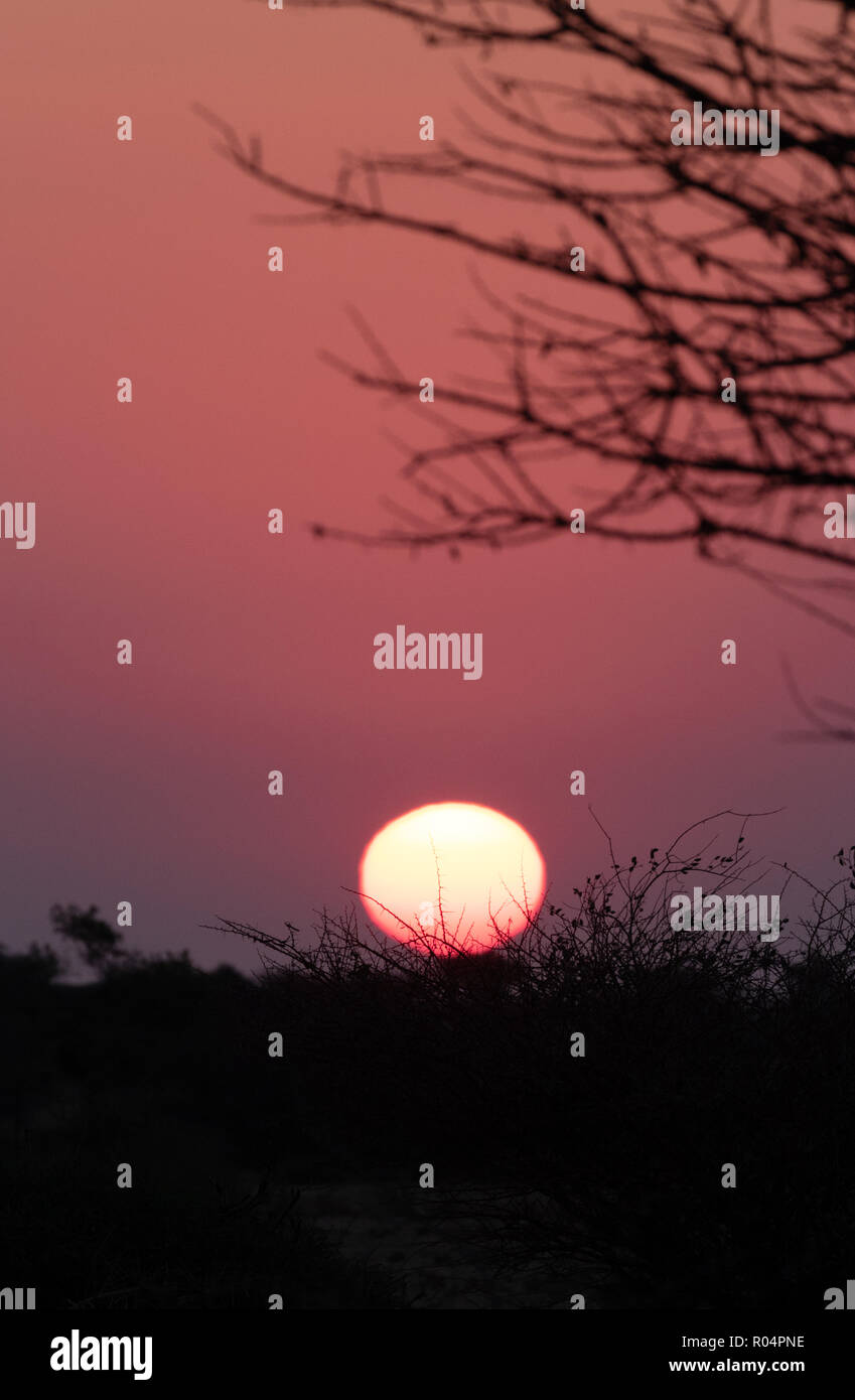 Tramonto africano; Spitzkoppe, Namibia Africa Foto Stock