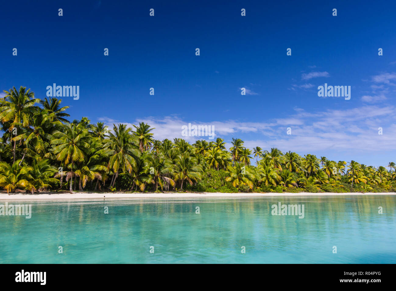 Palme di cocco linea spiaggia su un piede Isola, Aitutaki, Isole Cook, a sud delle Isole del Pacifico e del Pacifico Foto Stock