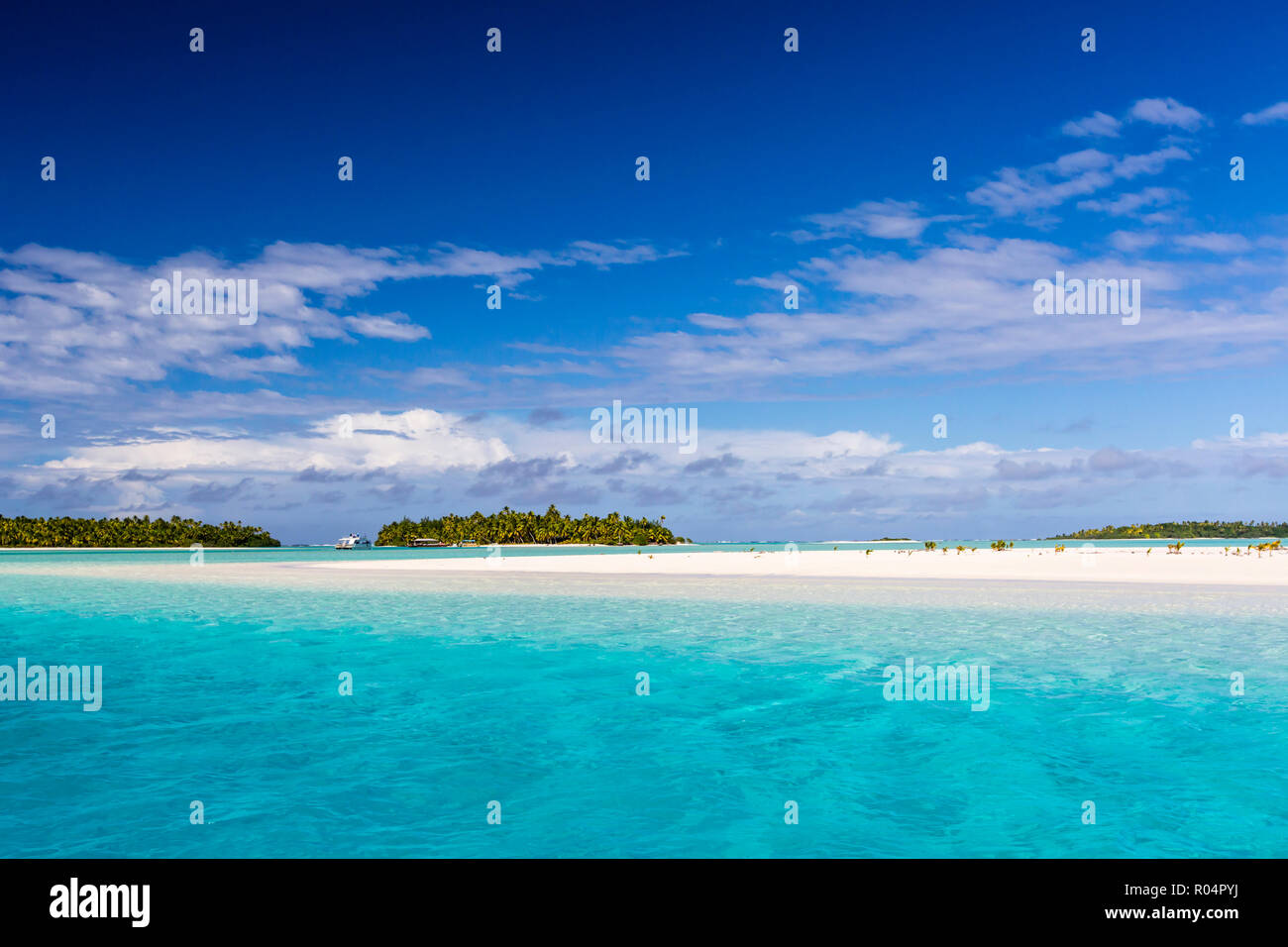 Palme di cocco linea spiaggia su un piede Isola, Aitutaki, Isole Cook, a sud delle Isole del Pacifico e del Pacifico Foto Stock