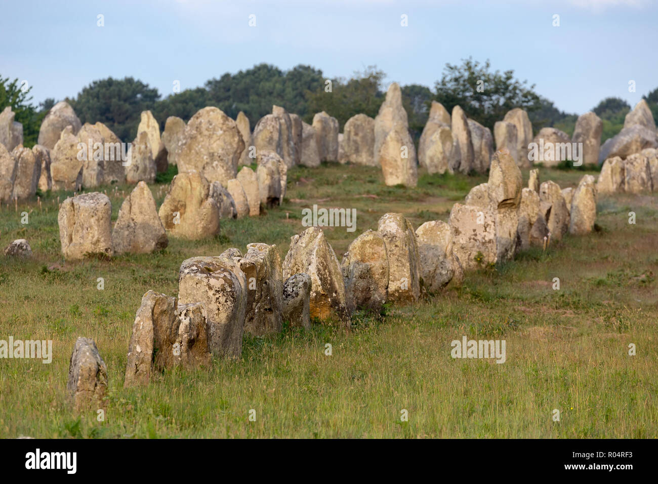 Carnac allineamento delle pietre in Bretagna, Francia Foto Stock