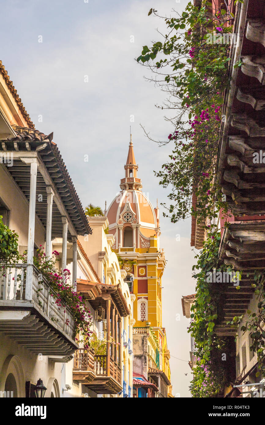 Una vista della cattedrale di Cartagena (Cattedrale metropolitana Basilica di Santa Caterina di Alessandria), l'UNESCO, Cartagena, Colombia Foto Stock