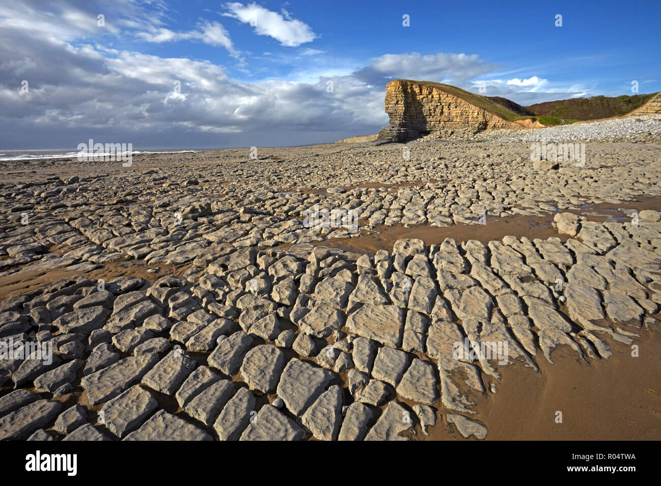 Calcare esposta a bassa marea a Nash punto sulla Glamorgan Heritage Costa, Glamorgan, Wales, Regno Unito, Europa Foto Stock