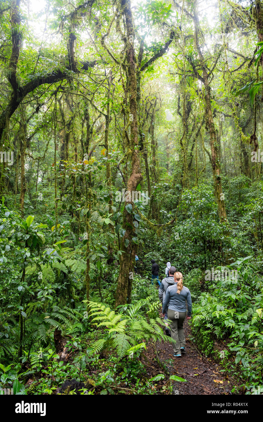 Turistico a Monteverde Cloud Forest Riserve, Puntarenas, Costa Rica, America Centrale Foto Stock