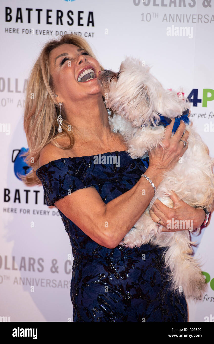 Londra, Regno Unito. 1 Novembre, 2018. Jilly Johnson assiste il Battersea cani e gatti collari Home & cappotti ballo di gala 2018 a Battersea Evolution il 01 novembre 2018 a Londra, Inghilterra Credito: Gary Mitchell, GMP Media/Alamy Live News Foto Stock