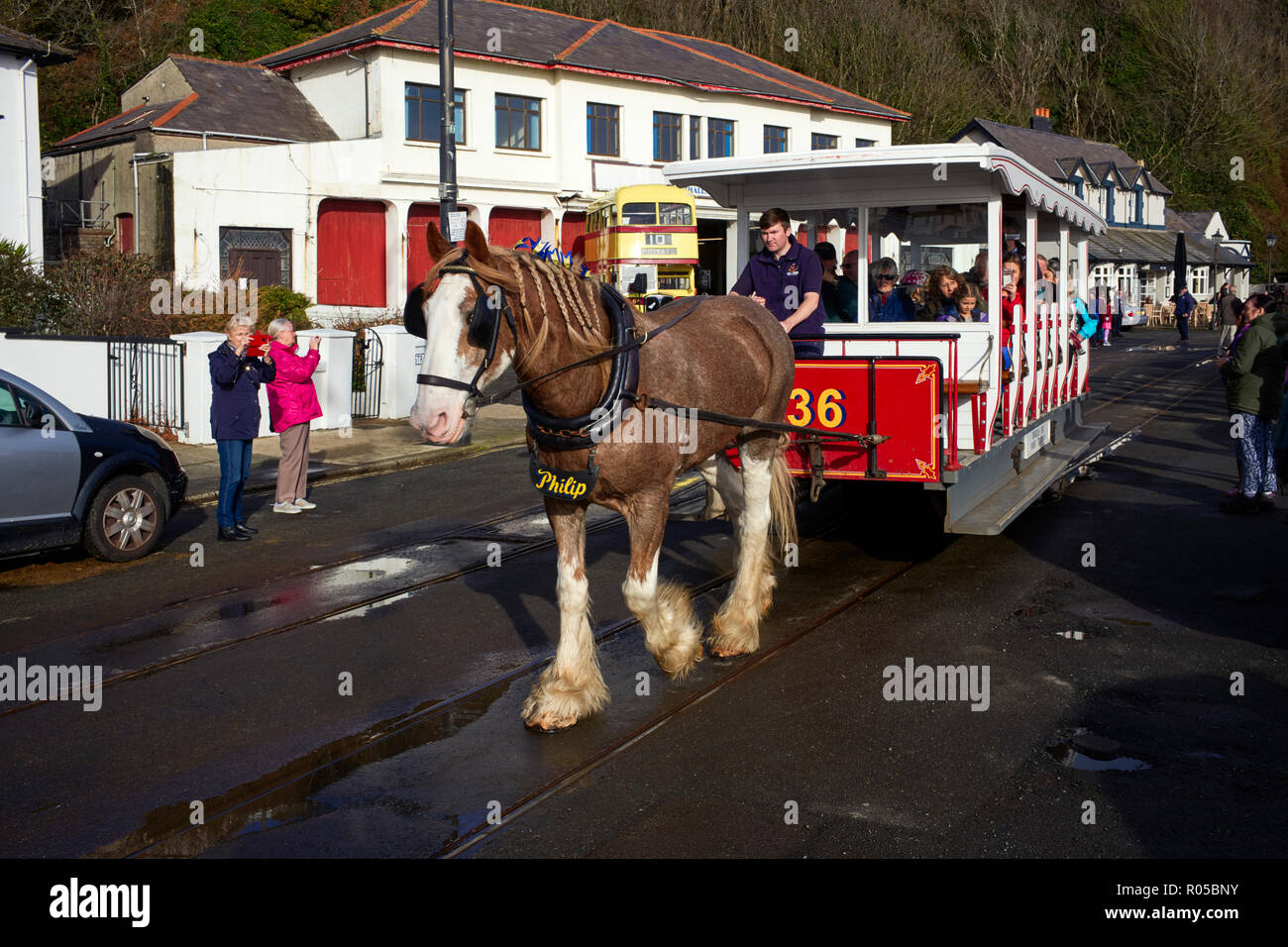 Il tram cavallo Philip tirando il tram numero 36 in Douglas, Isola di Man Foto Stock