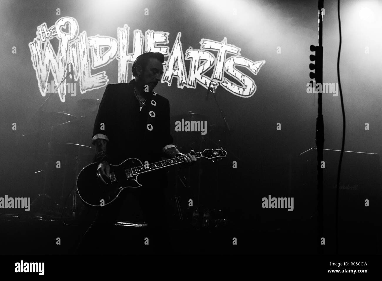 Il Wildhearts (zenzero Wildheart) - Newcastle Academy 2015 Foto Stock