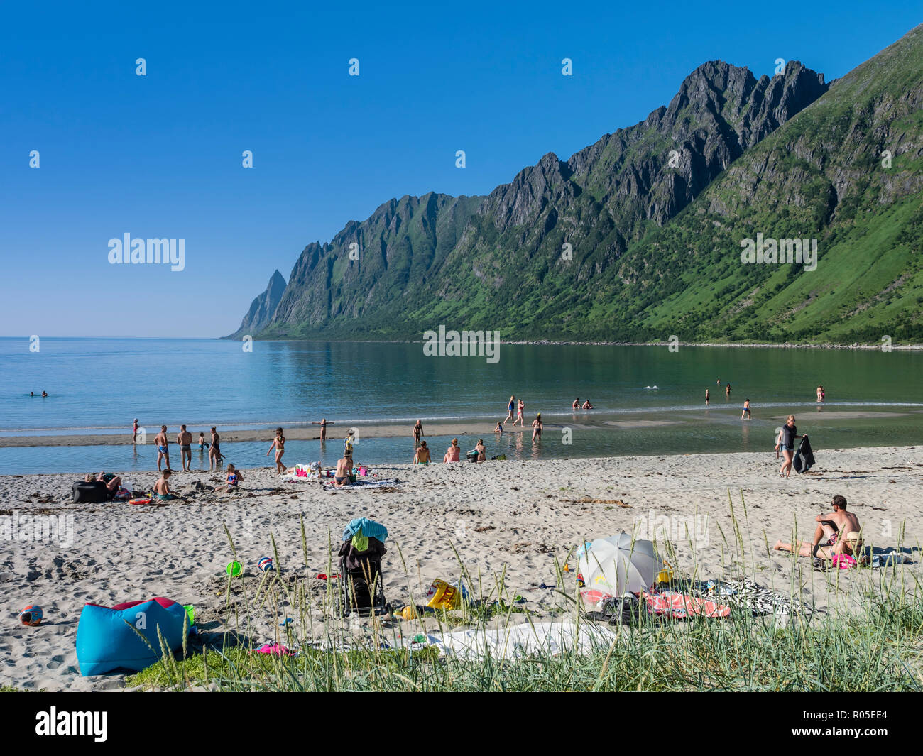 Spiaggia Ersfjordstranden, fjord Ersfjord, pubblica Recreation Area, estate, persone andare a nuotare, vista la gamma della montagna Okshornan, isola Senja, Troms, n Foto Stock