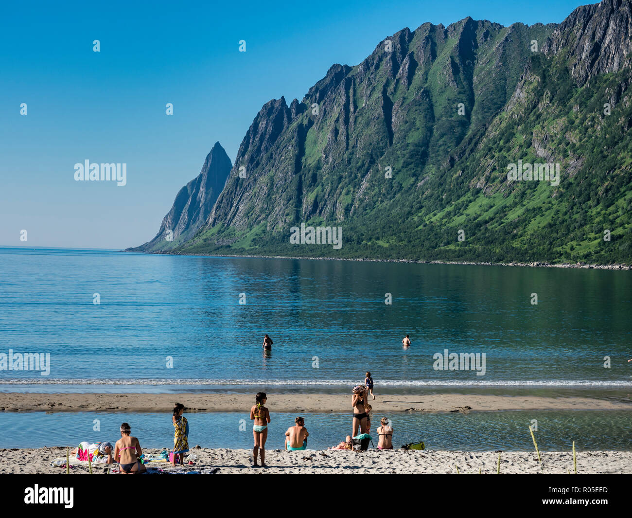 Spiaggia Ersfjordstranden, fjord Ersfjord, pubblica Recreation Area, estate, persone andare a nuotare, vista la gamma della montagna Okshornan, isola Senja, Troms, n Foto Stock