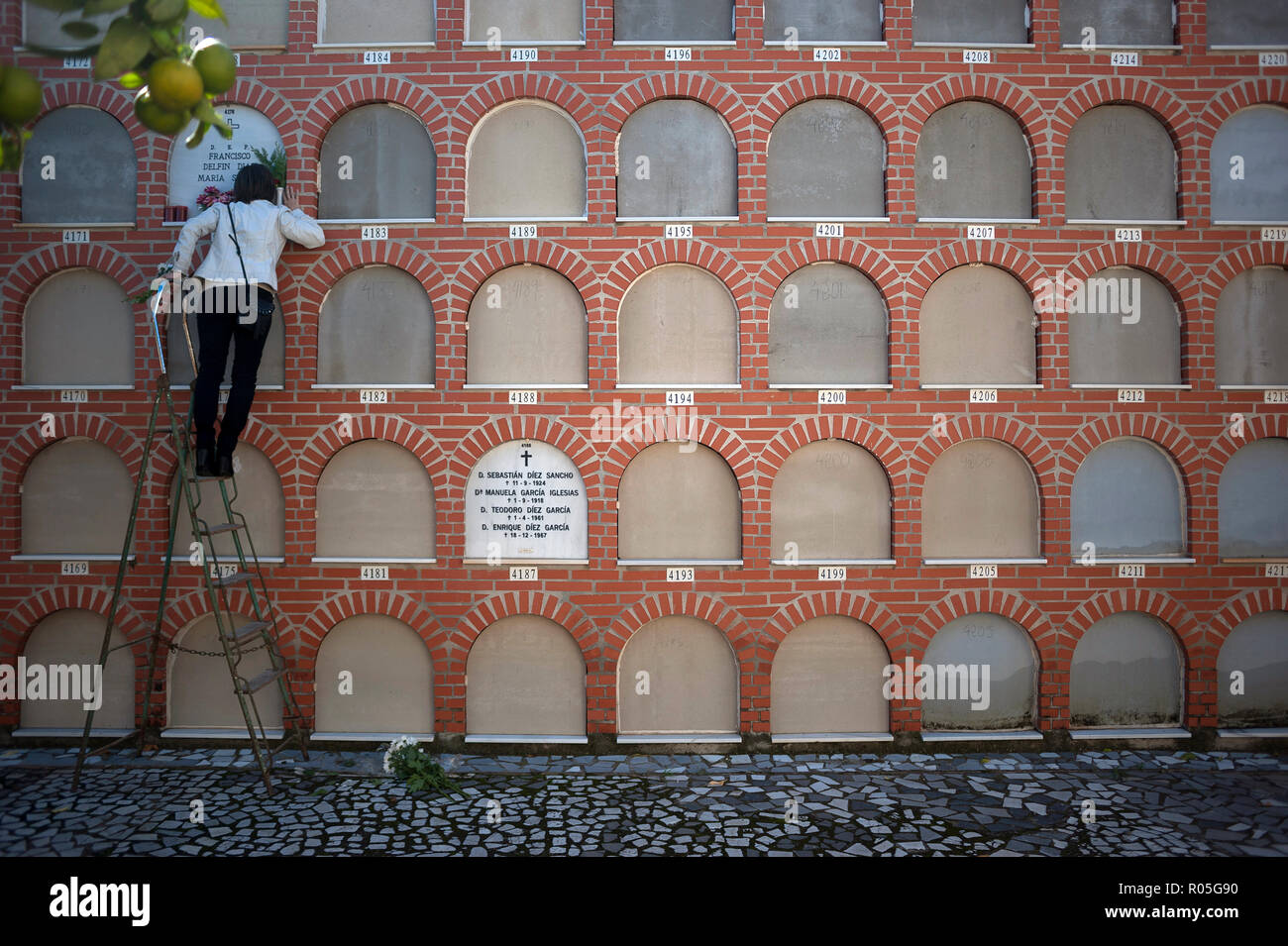 Una donna vede baciare un oggetto contrassegnato per la rimozione definitiva dei suoi parenti durante tutto il santo giorno al San Miguel cimitero in Malaga. Foto Stock