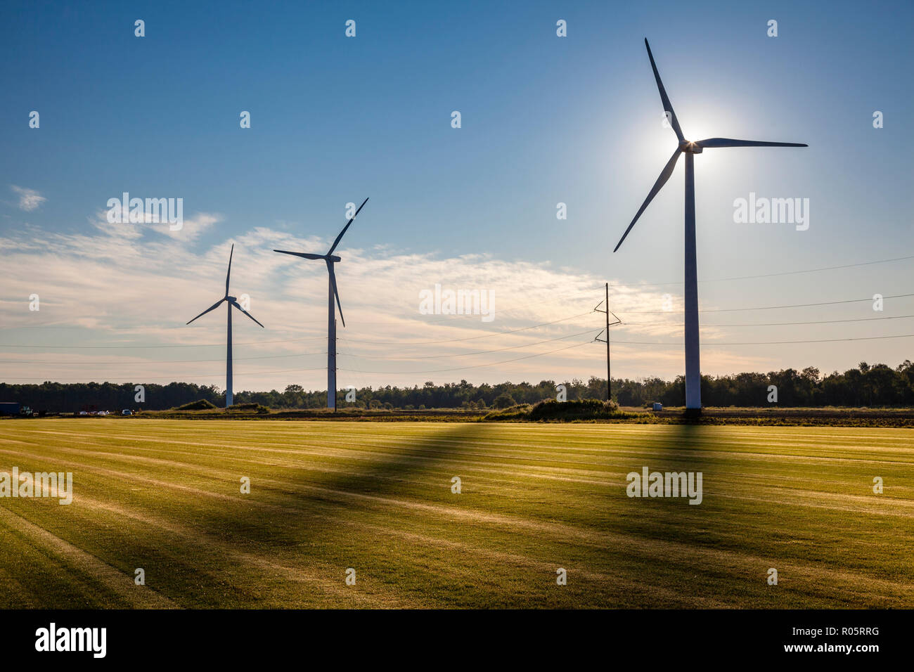 Retroilluminato con turbine a vento con ombre su un campo verde. Foto Stock