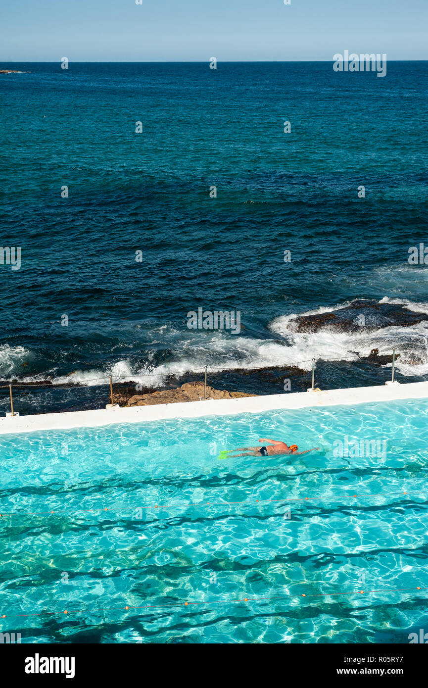 Sydney, Australia, nuotatore a Bondi iceberg club di nuoto Foto Stock