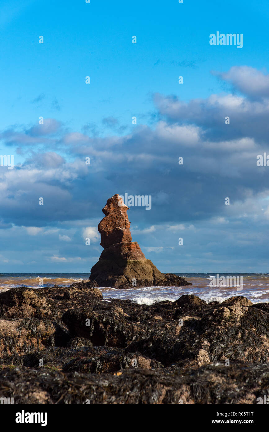 Shag Rock è una pila di mare off foro di testa, Holcombe, Teignmouth Devon, spesso erroneamente prendere per il pievano di Parson e addetto di formazione. Foto Stock
