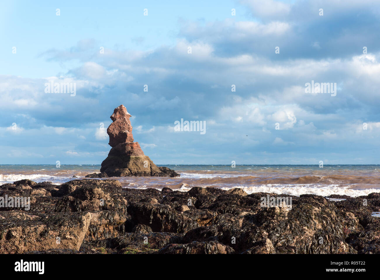 Shag Rock è una pila di mare off foro di testa, Holcombe, Teignmouth Devon, spesso erroneamente prendere per il pievano di Parson e addetto di formazione. Foto Stock