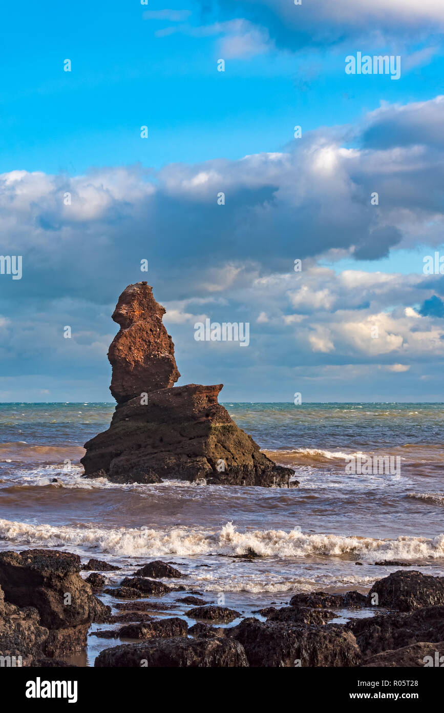 Shag Rockis una pila di mare off foro di testa, Holcombe, Teignmouth Devon. Essa è spesso erroneamente prendere per il pievano di Parson e cancelliere formazione whi Foto Stock