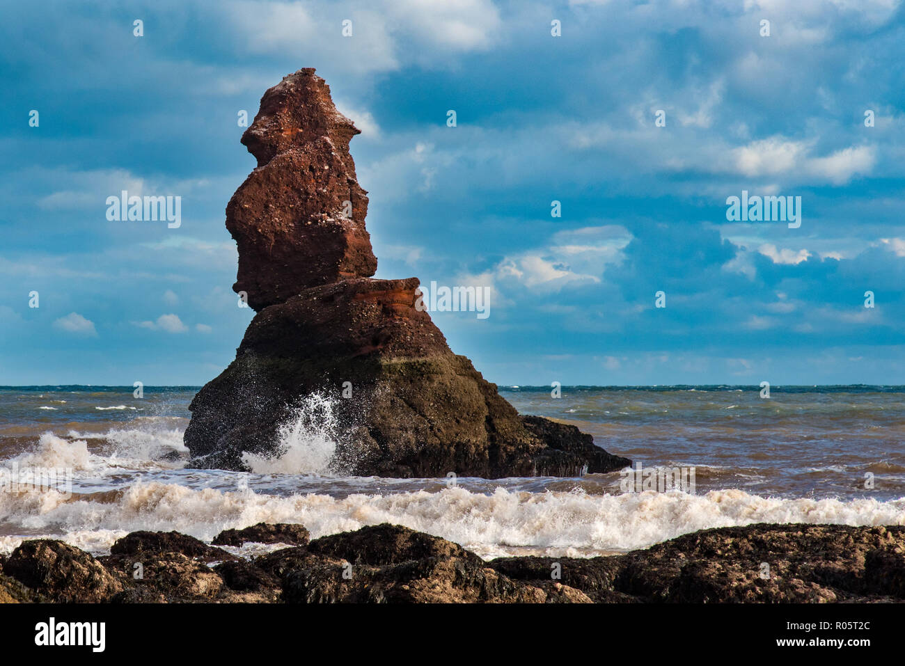 Shag Rock è una pila di mare off foro di testa, Holcombe, Teignmouth Devon, spesso erroneamente assunto essere il pievano del pievano e addetto di formazione. Foto Stock
