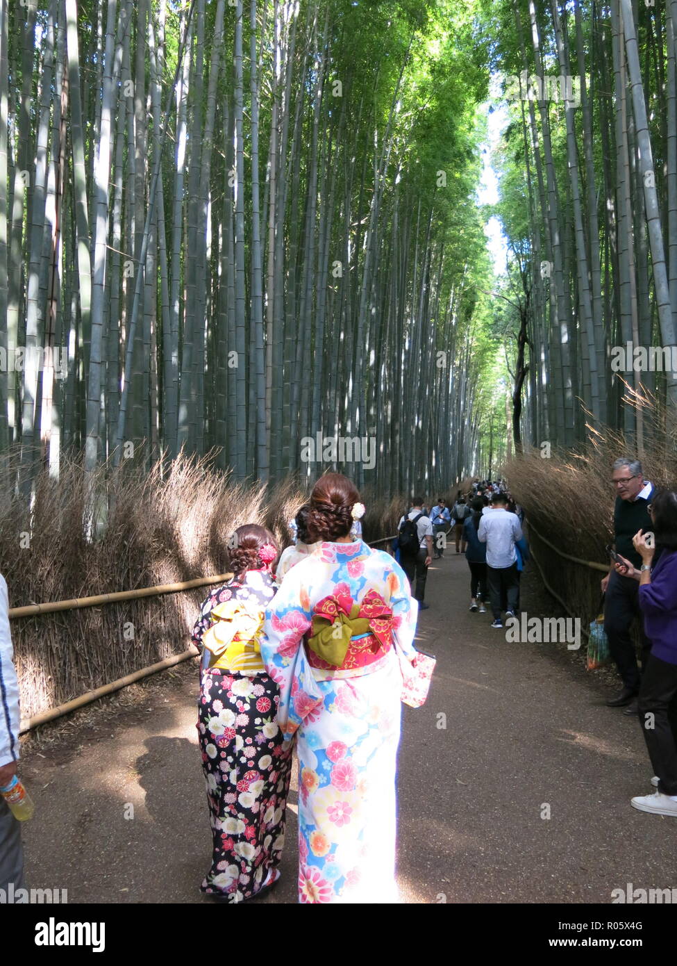 I turisti a piedi lungo uno dei percorsi, sopraffatte da imponenti tronchi di alberi in Arashiyama Boschetto di bambù / Sagano Foresta di Bamboo, Kyoto, Giappone Foto Stock