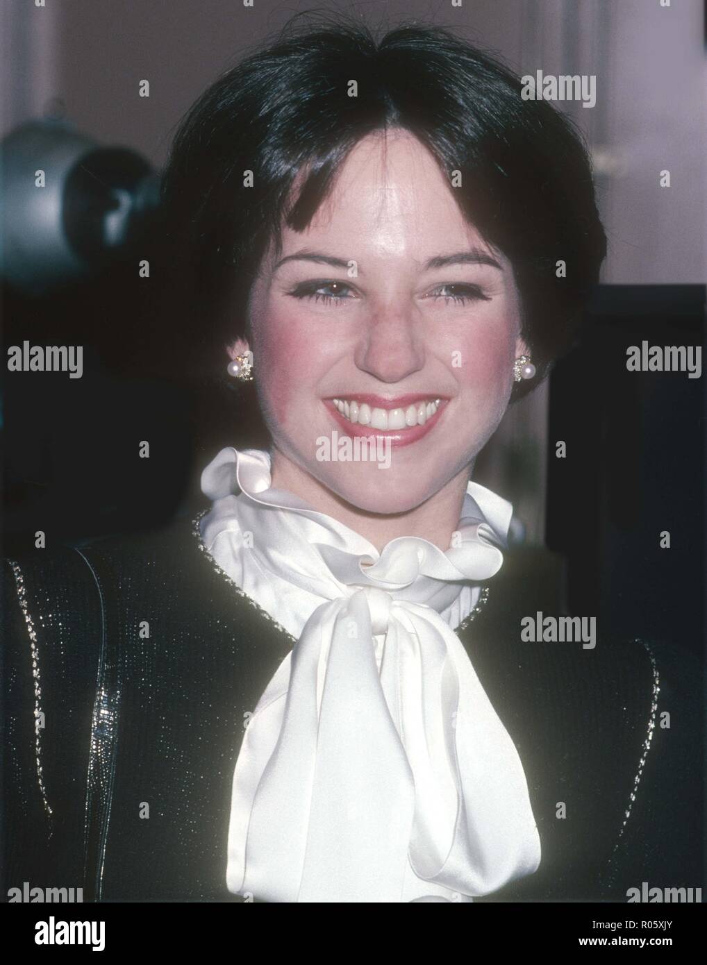 Dorothy Hamill Foto non datata da John Barrett/il PHOTOlink/MediaPunch Foto Stock