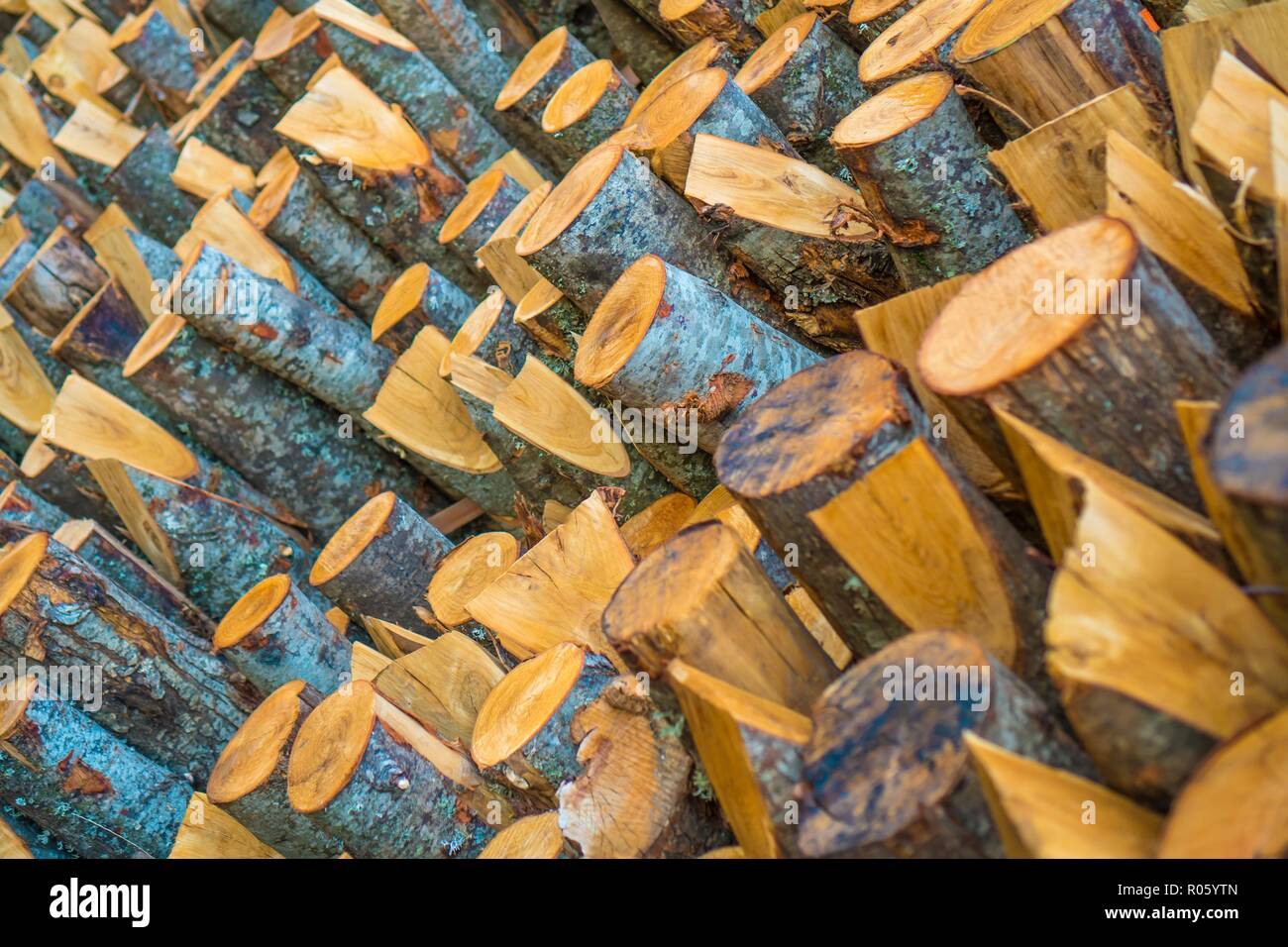 Tronchi di legno tagliato e legato insieme Foto Stock