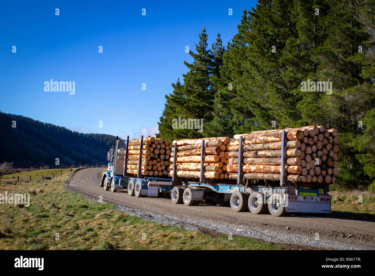 Un log carrello trasporta i registri di pino dal sito forestale per la segheria di Canterbury, Nuova Zelanda Foto Stock