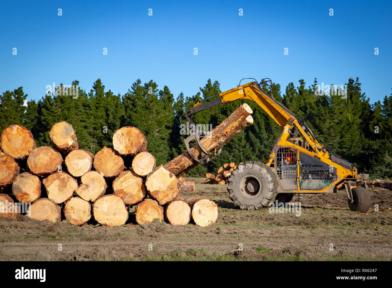 Giallo pesanti macchinari di registrazione utilizzato per impilare i registri per il trasporto Foto Stock