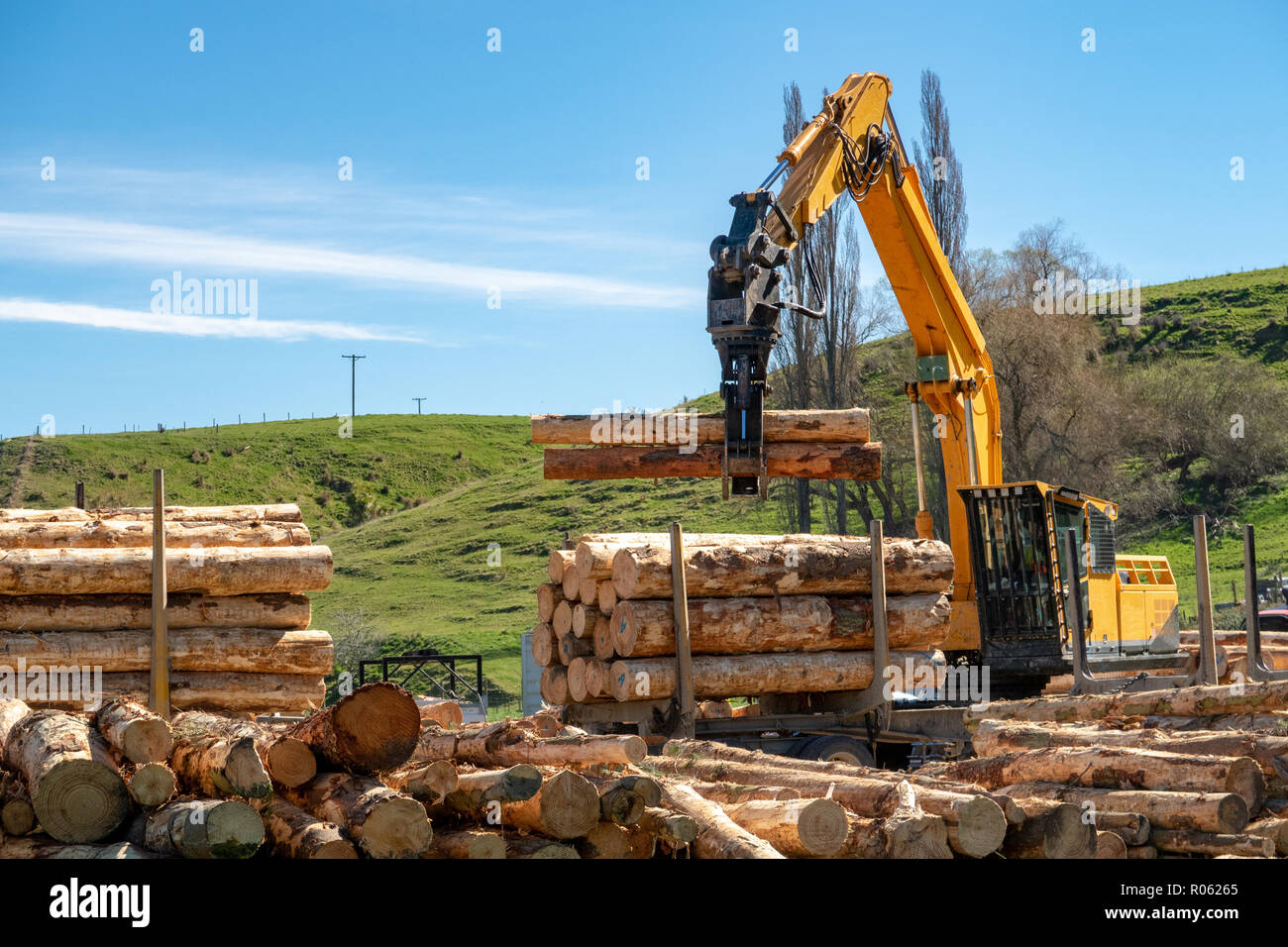 Un caricatore di oscillazione preleva e pile tronchetti su un carrello log in corrispondenza di un sito di selvicoltura in Nuova Zelanda Foto Stock