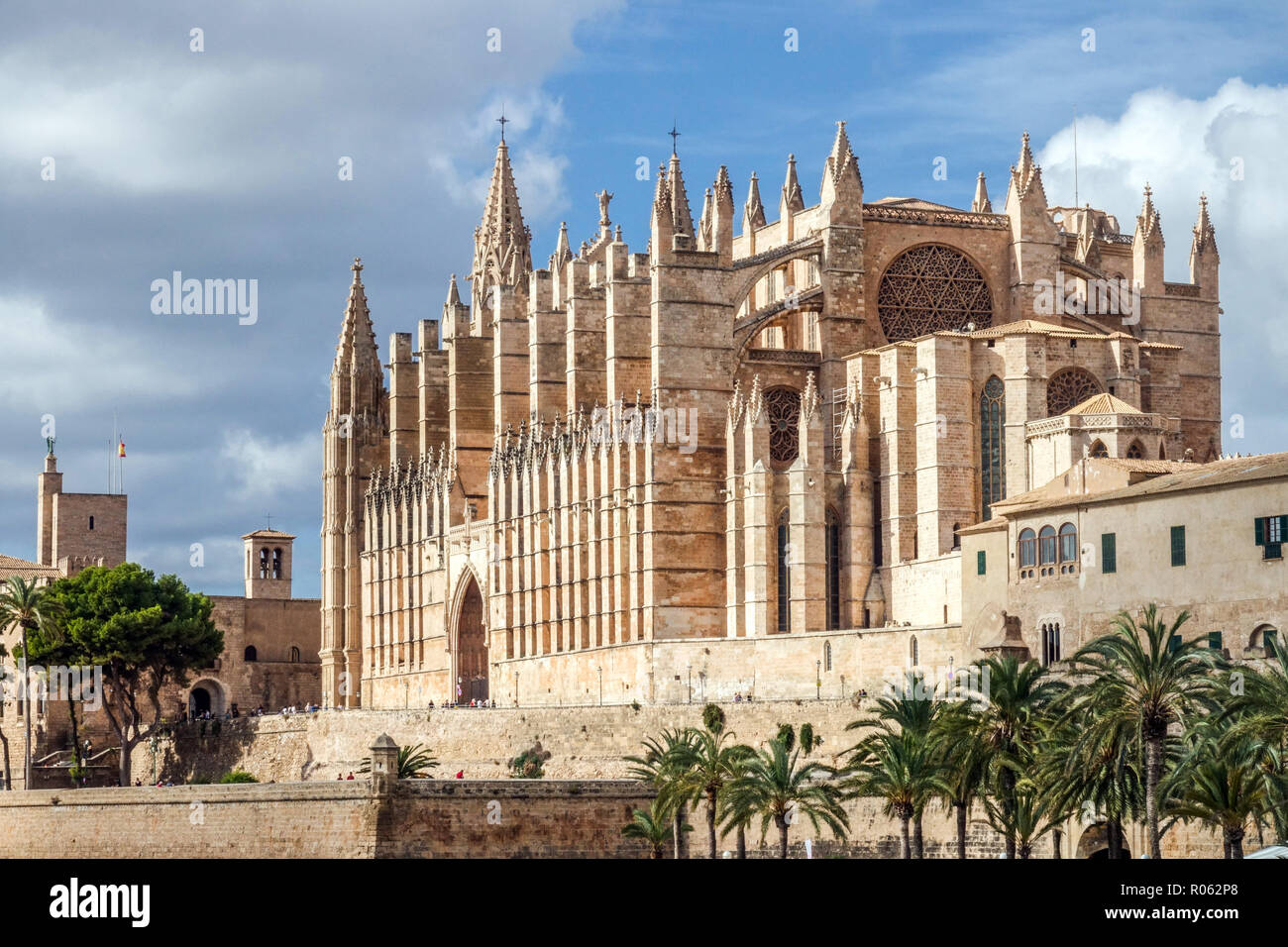 Vista della Cattedrale di Palma di Maiorca Cattedrale di Spagna Foto Stock