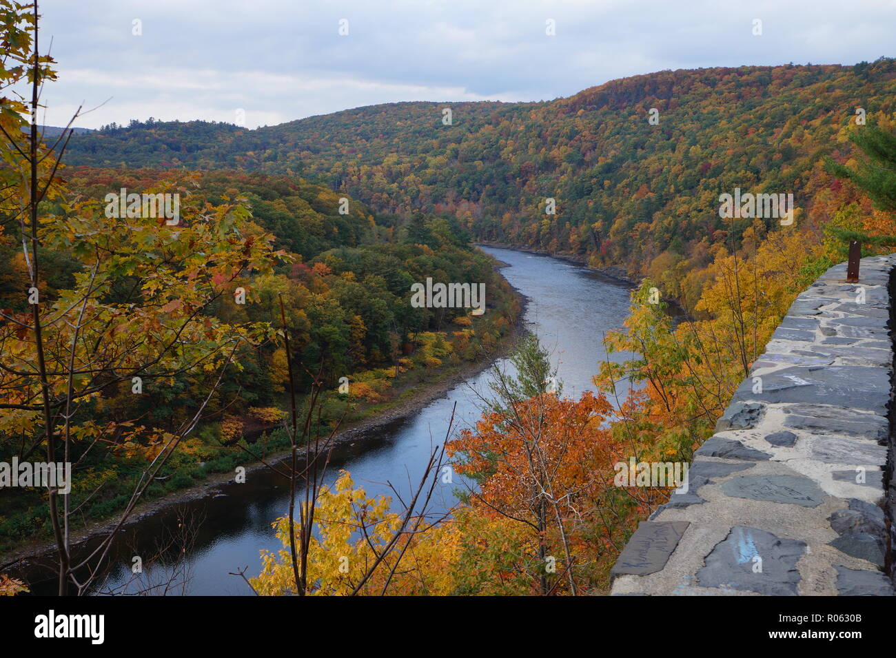 Si affacciano su di un colpo al nido di falchi in autunno Foto Stock