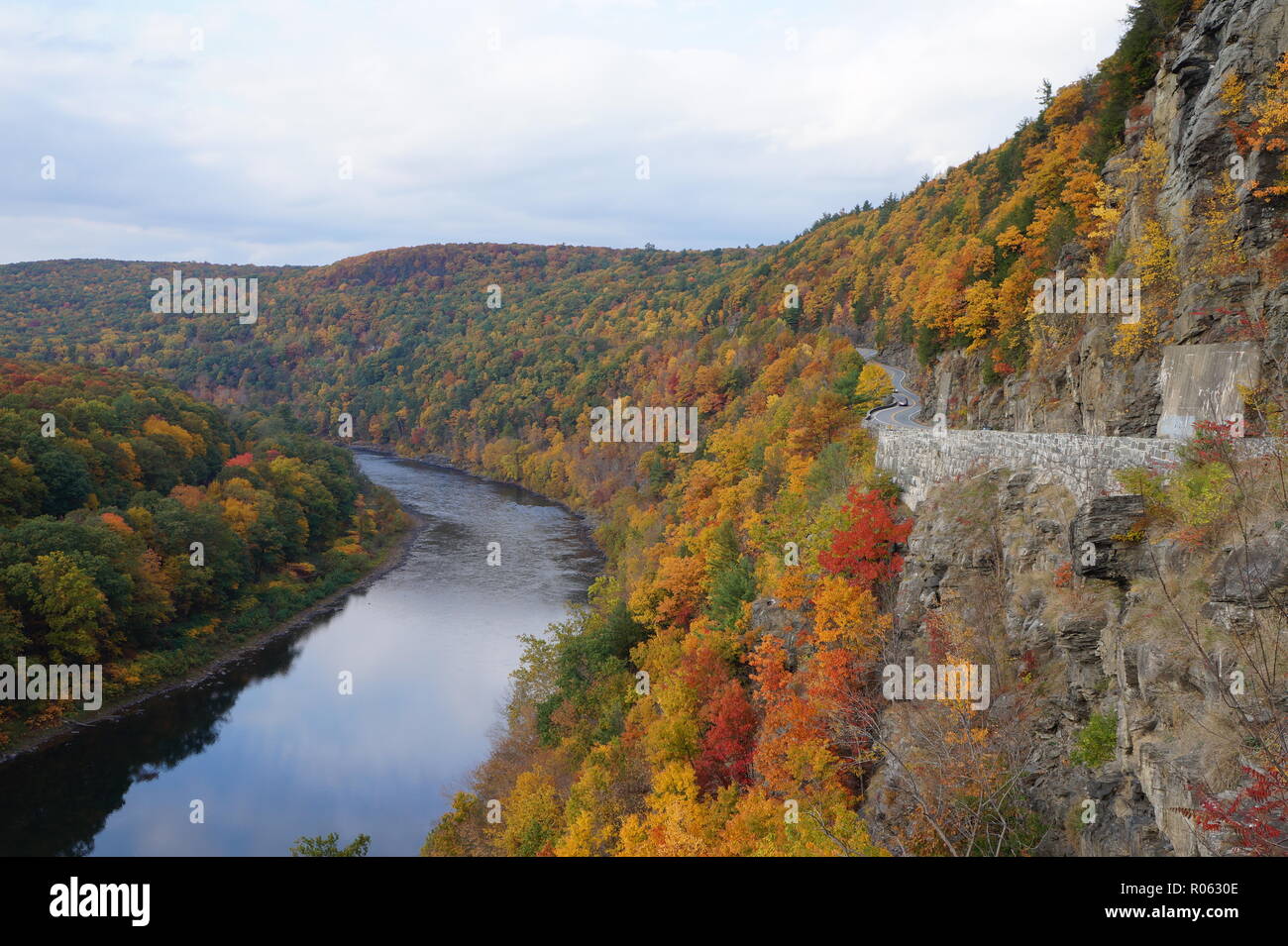 Il nido di falchi del parco statale di New York durante l'autunno Foto Stock