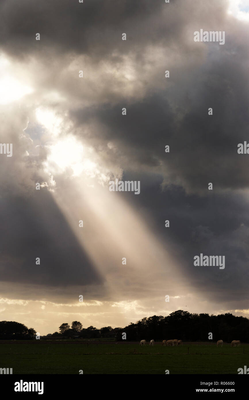 Vista su un bellissimo cloudscape, dove un fascio di luce che cade attraverso un foro tra le nuvole. Il clima autunnale è drammatica, scuro, tempestosa, piovoso Foto Stock