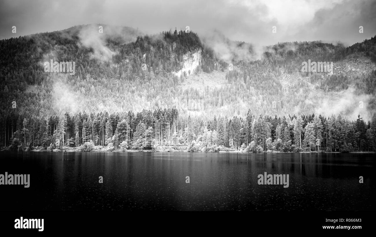 Drammatico paesaggio di montagna il pin in bianco e nero. Il lago e la nebbia meteo sul lago, foresta di alberi di pino, tranquilla natura scena. Paesaggio Naturale Foto Stock