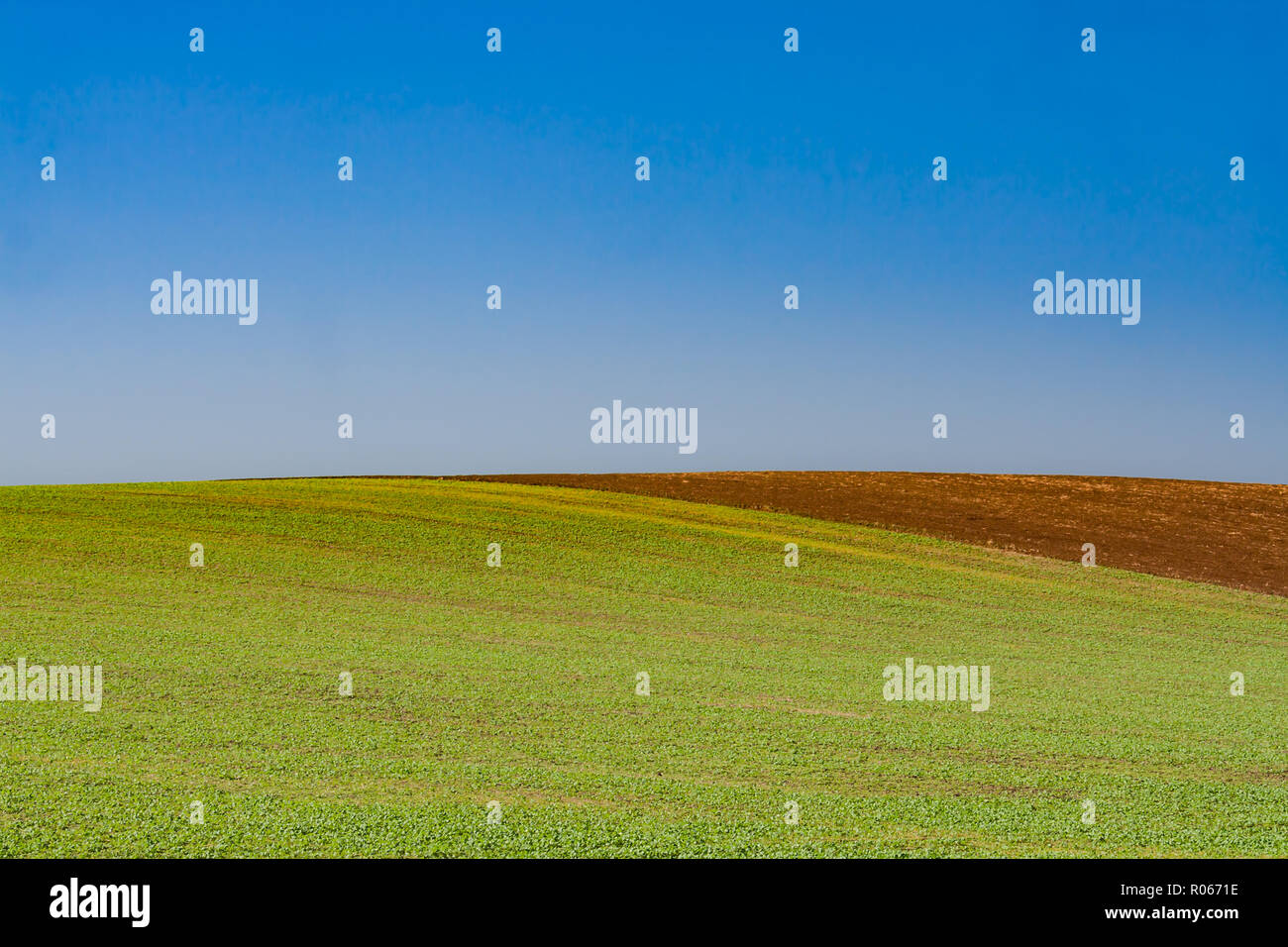 Bella fattoria verde campo, paesaggio minimalista, cielo blu Foto Stock