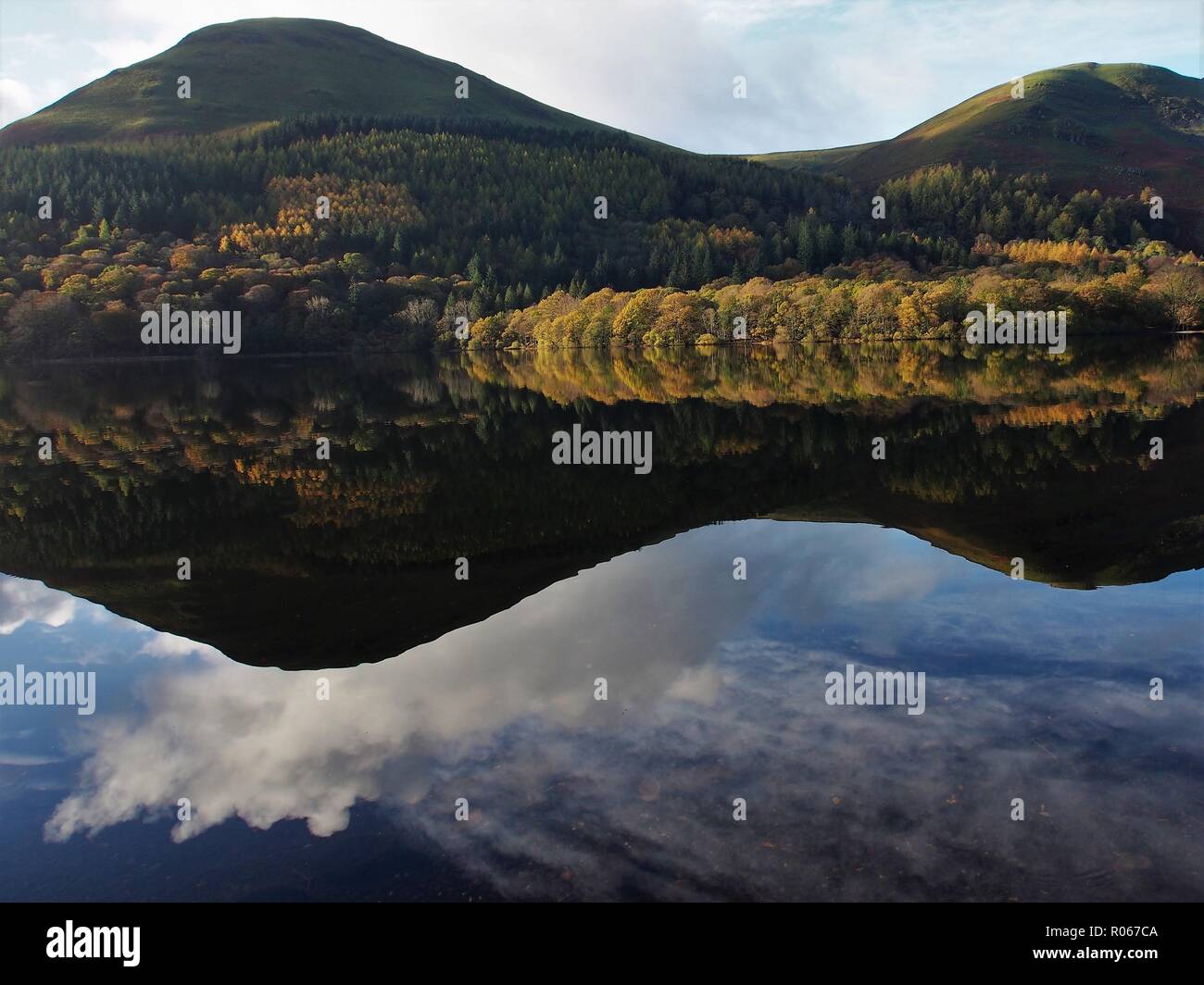 Holme Legno e colline sopra riflessa nella ancora Loweswater, Parco Nazionale del Distretto dei Laghi, Cumbria, England, Regno Unito Foto Stock