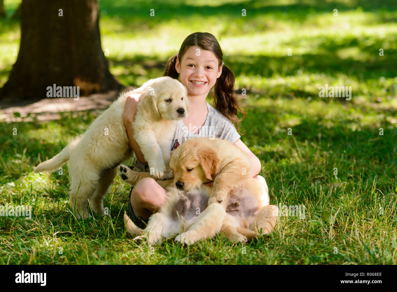 Ragazza e golden retriever cuccioli Foto Stock