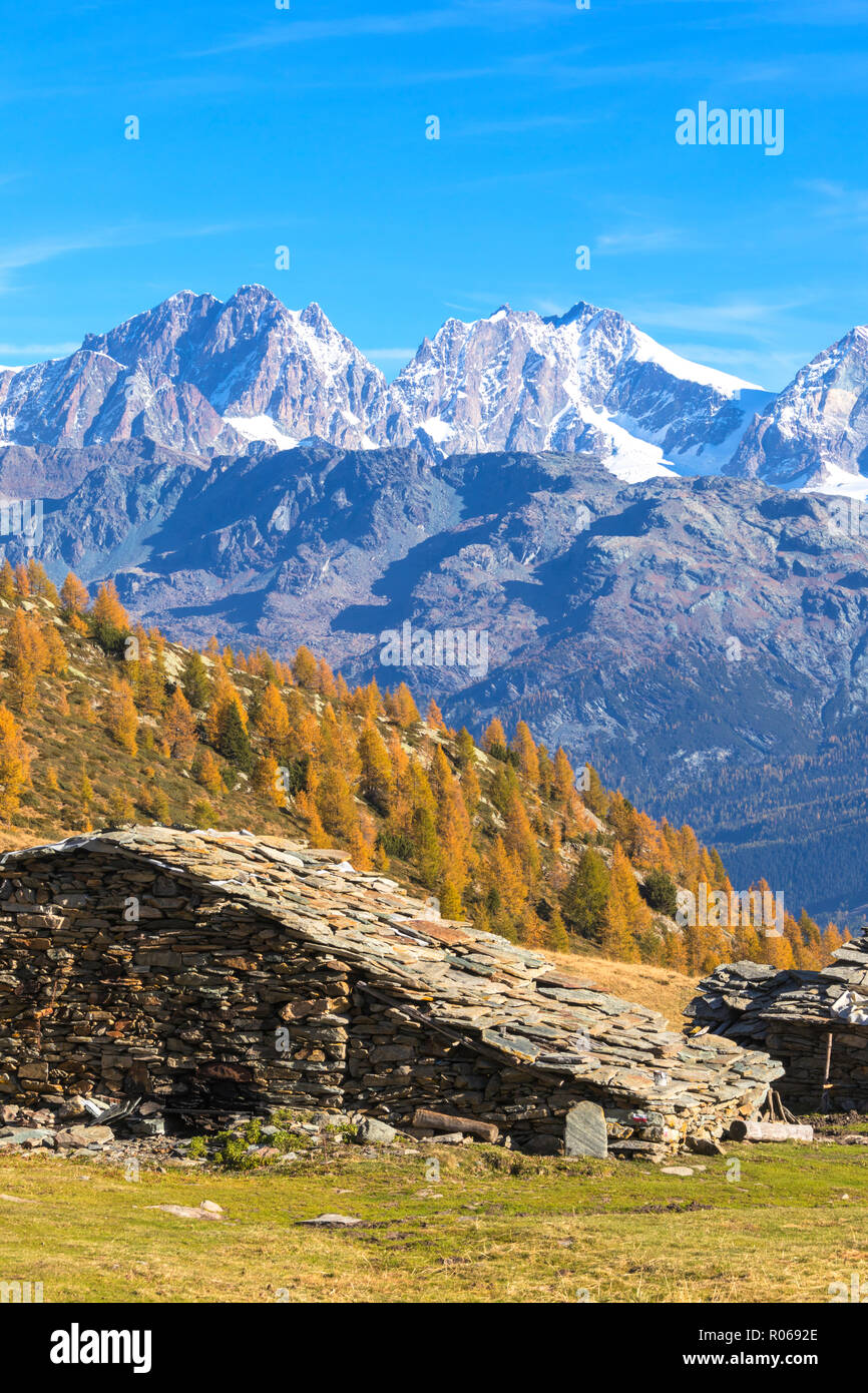 Capanna di pietra e coloratissimi boschi in autunno con il gruppo del Bernina sullo sfondo, Alpe Arcoglio Valmalenco, Valtellina, Lombardia, Italia, Europa Foto Stock