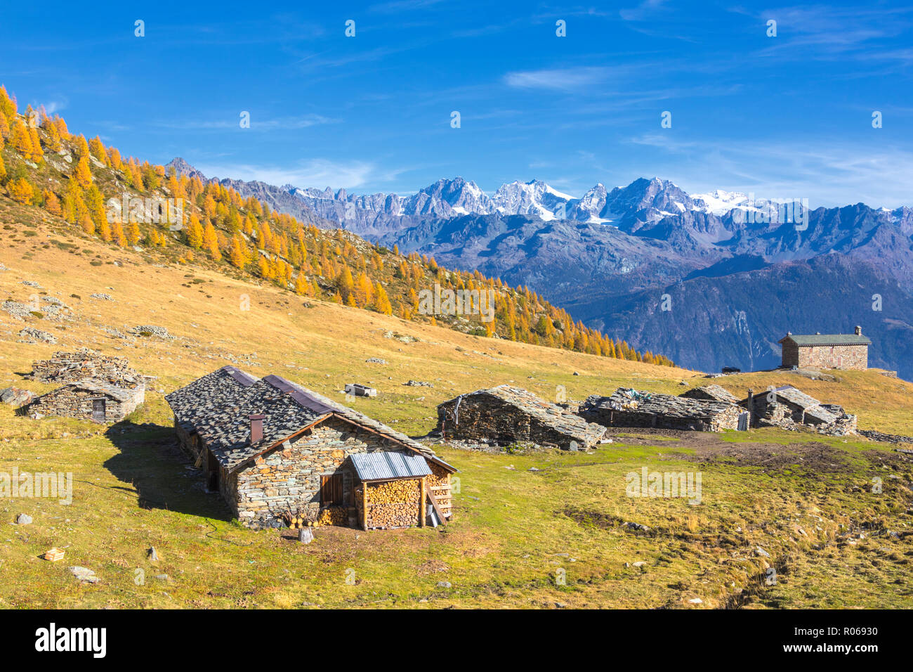 Capanne in pietra e coloratissimi boschi in autunno con il gruppo del Bernina sullo sfondo, Alpe Arcoglio Valmalenco, Valtellina, Lombardia, Italia, Europa Foto Stock