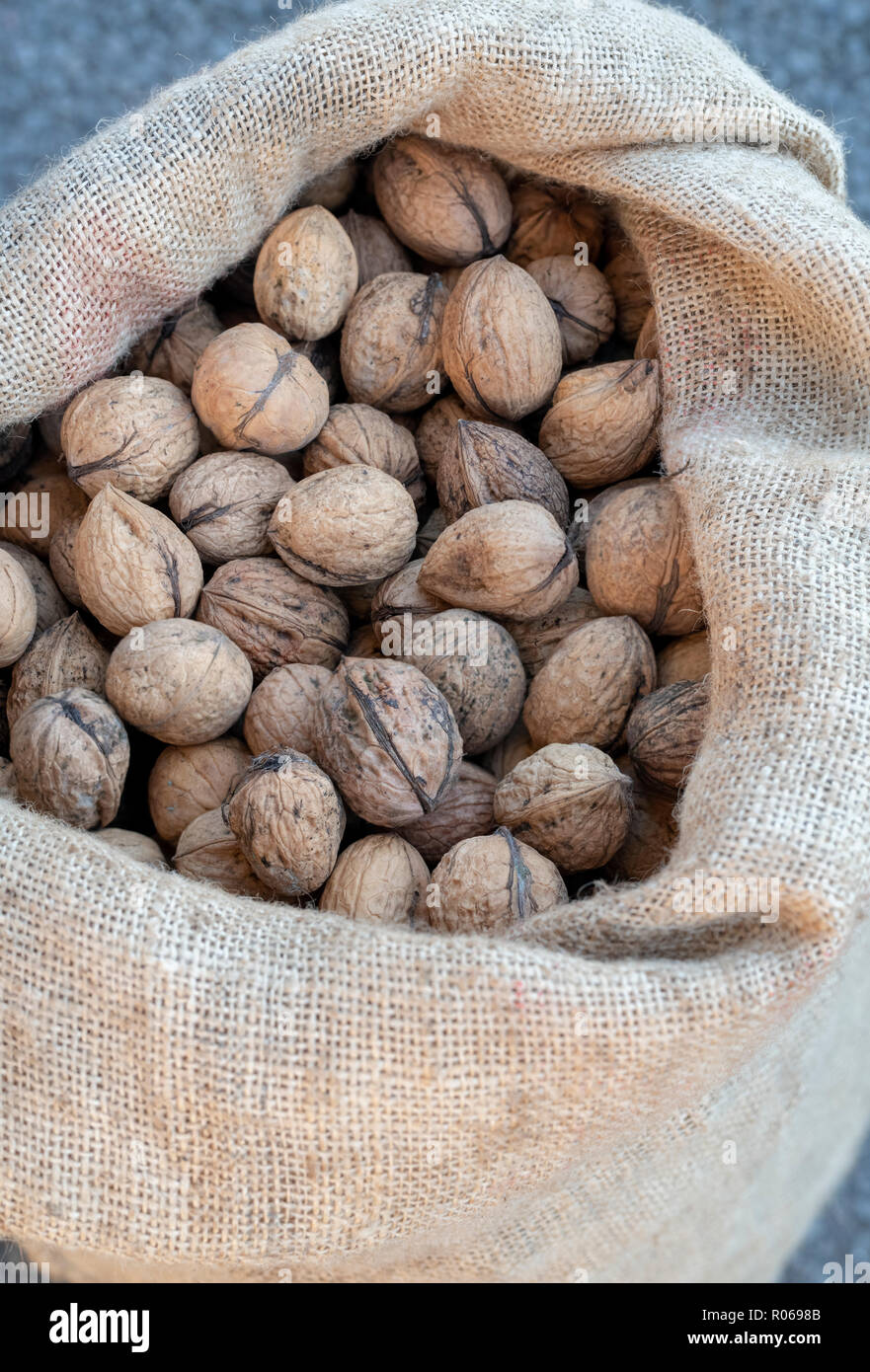 Le noci raccolte in un sacco di Hesse Foto Stock