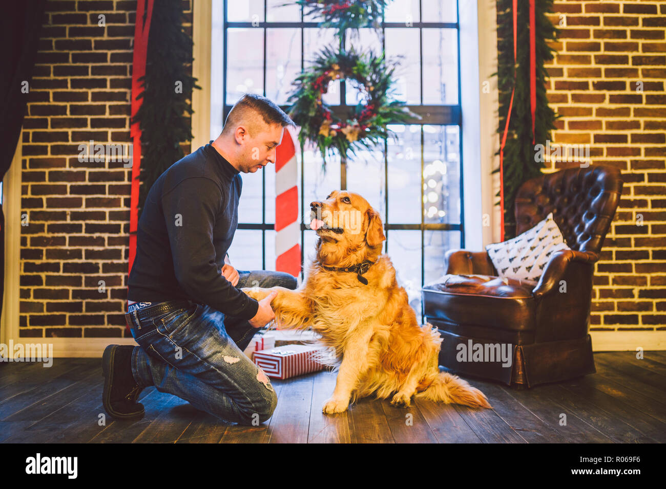 Amicizia di uomo e cane. Il Pet golden retriever razza labrador shaggy dog. Un uomo treni, insegna un cane per dare una zampa, per eseguire comandi a casa su C Foto Stock