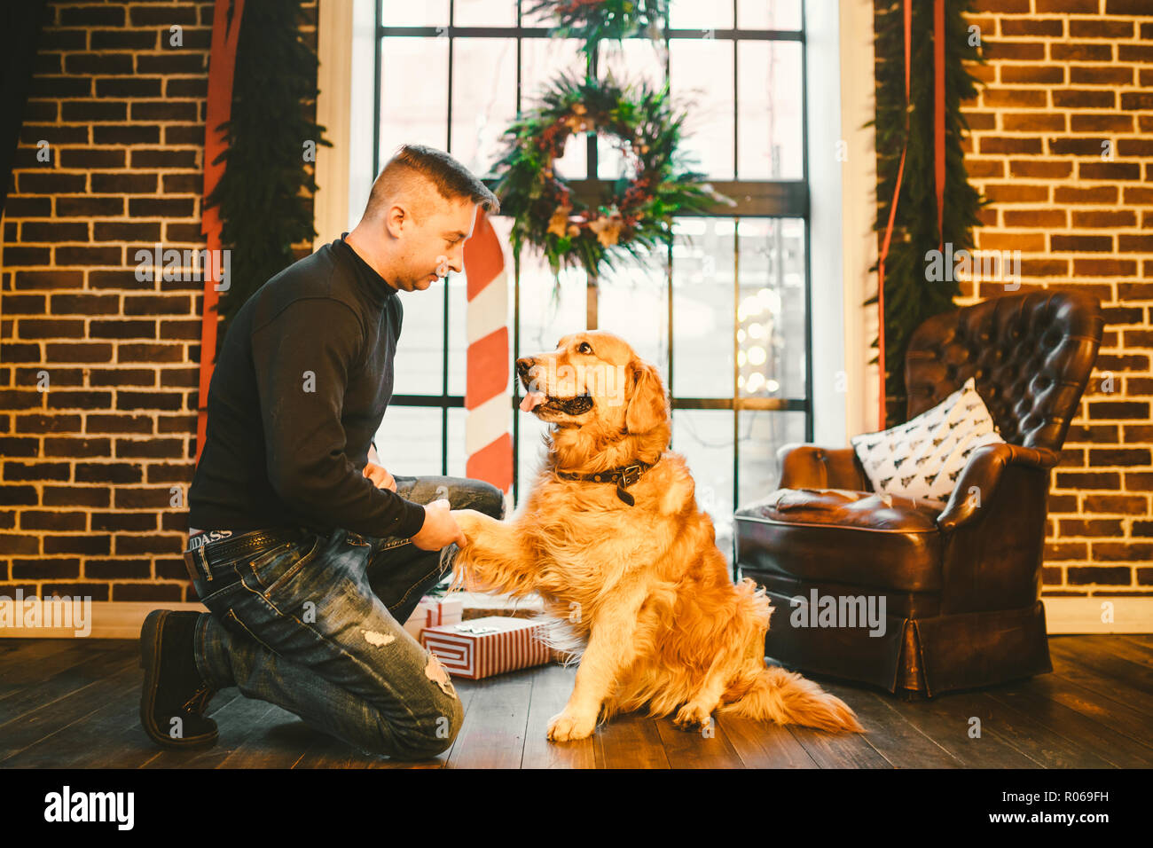 Amicizia di uomo e cane. Il Pet golden retriever razza labrador shaggy dog. Un uomo treni, insegna un cane per dare una zampa, per eseguire comandi a casa su C Foto Stock