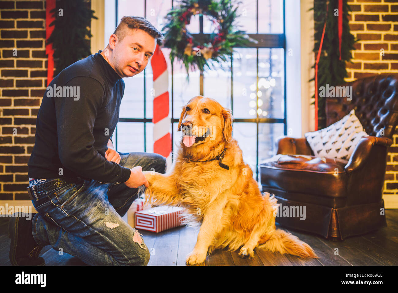 Amicizia di uomo e cane. Il Pet golden retriever razza labrador shaggy dog. Un uomo treni, insegna un cane per dare una zampa, per eseguire comandi a casa su C Foto Stock