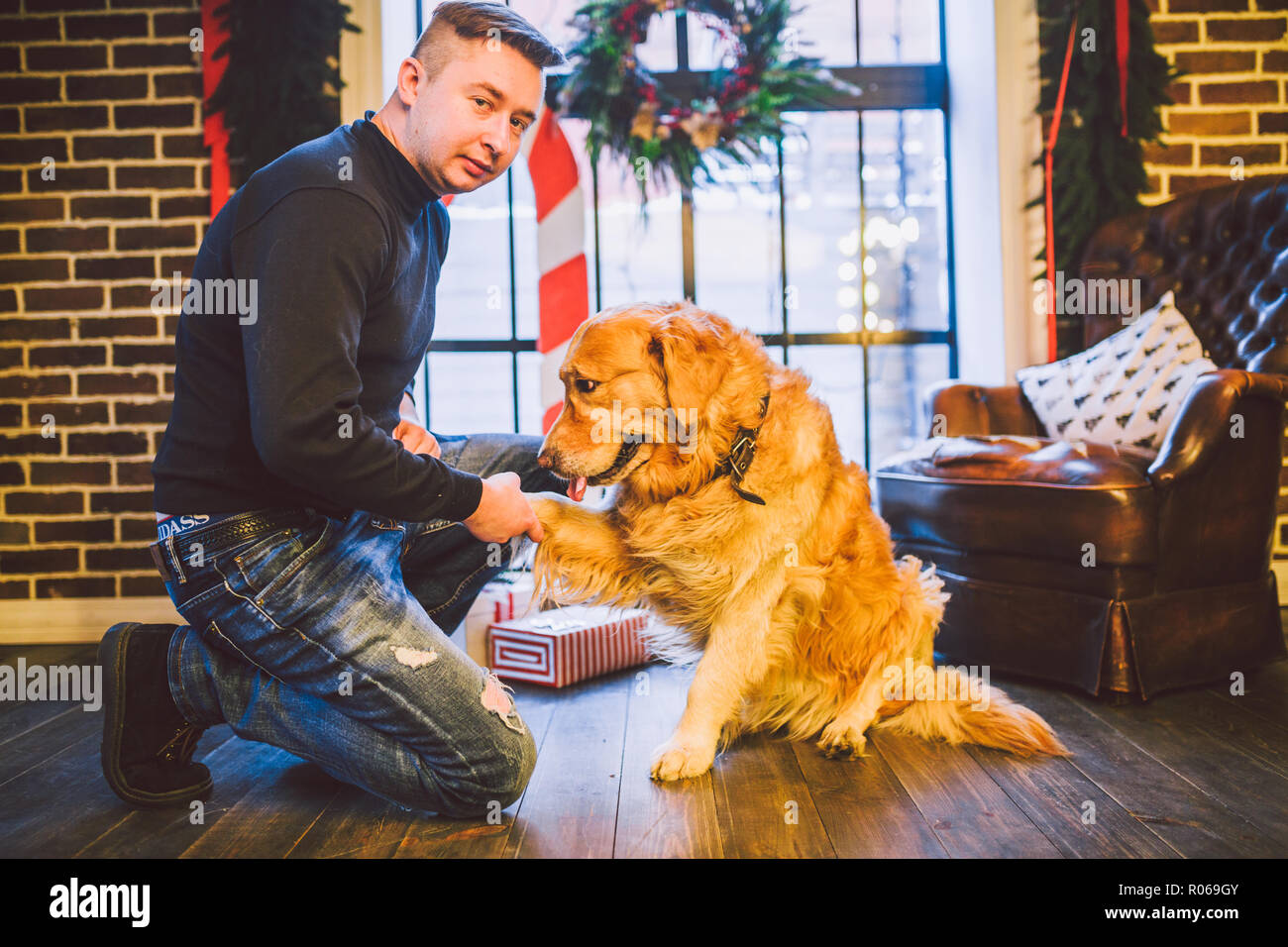 Amicizia di uomo e cane. Il Pet golden retriever razza labrador shaggy dog. Un uomo treni, insegna un cane per dare una zampa, per eseguire comandi a casa su C Foto Stock