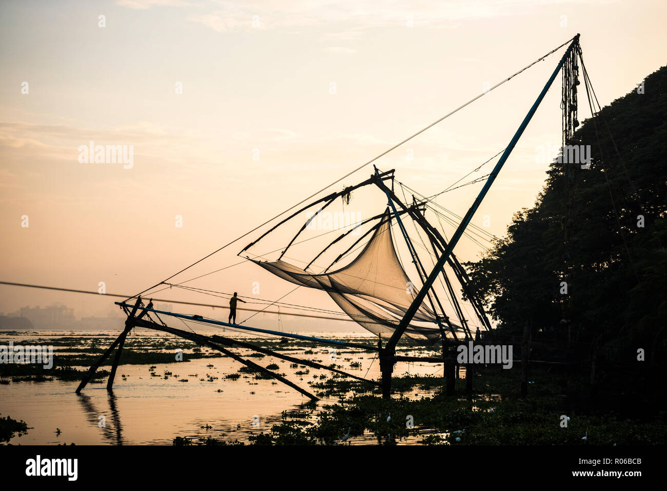 Cinese tradizionale reti da pesca di sunrise, Fort Kochi (Cochin), Kerala, India, Asia Foto Stock