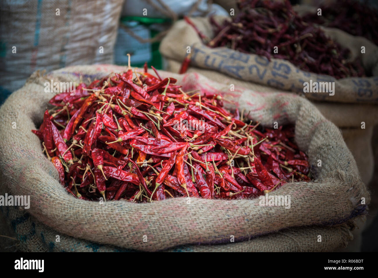 Peperoncini rossi per la vendita su un mercato delle spezie in Fort Kochi (Cochin), Kerala, India, Asia Foto Stock