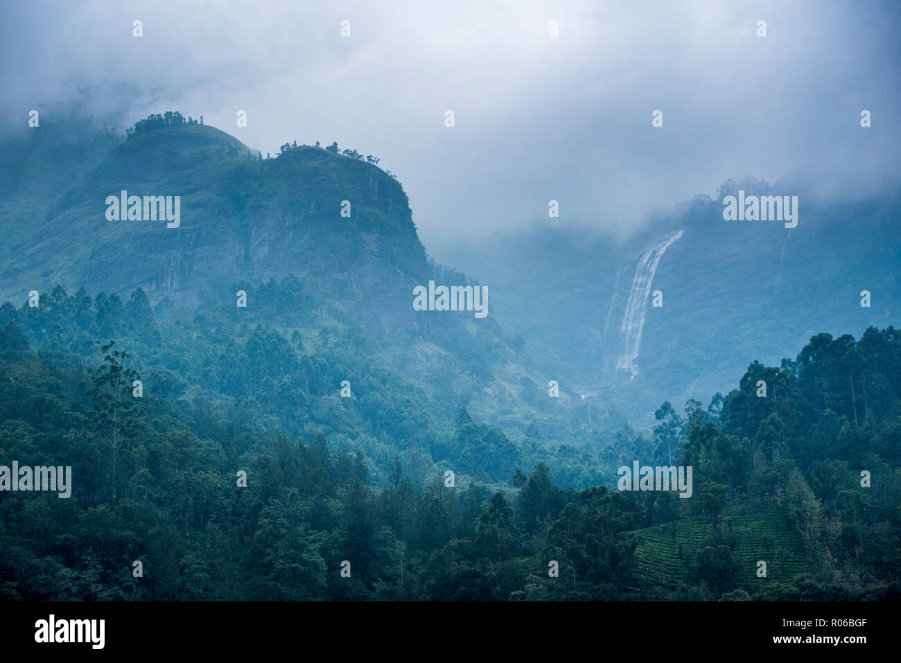 La cascata nel i Ghati Occidentali montagne, Munnar Kerala, India, Asia Foto Stock