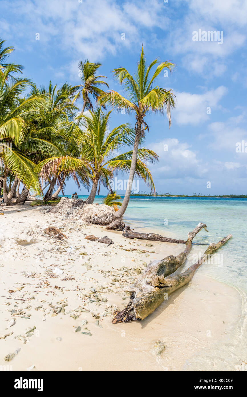 La bellissima isola Pelicano nelle isole San Blas, Kuna Yala, Panama America Centrale Foto Stock