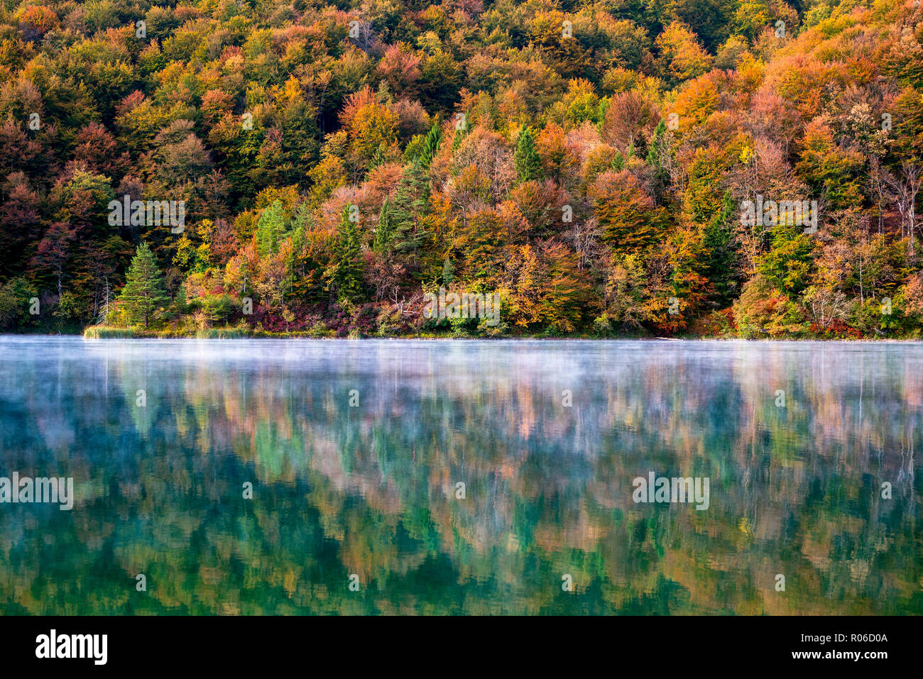 Dettagli di autunno nel Parco Nazionale di Plitvice, patrimonio mondiale dell UNESCO, Croazia, Europa Foto Stock