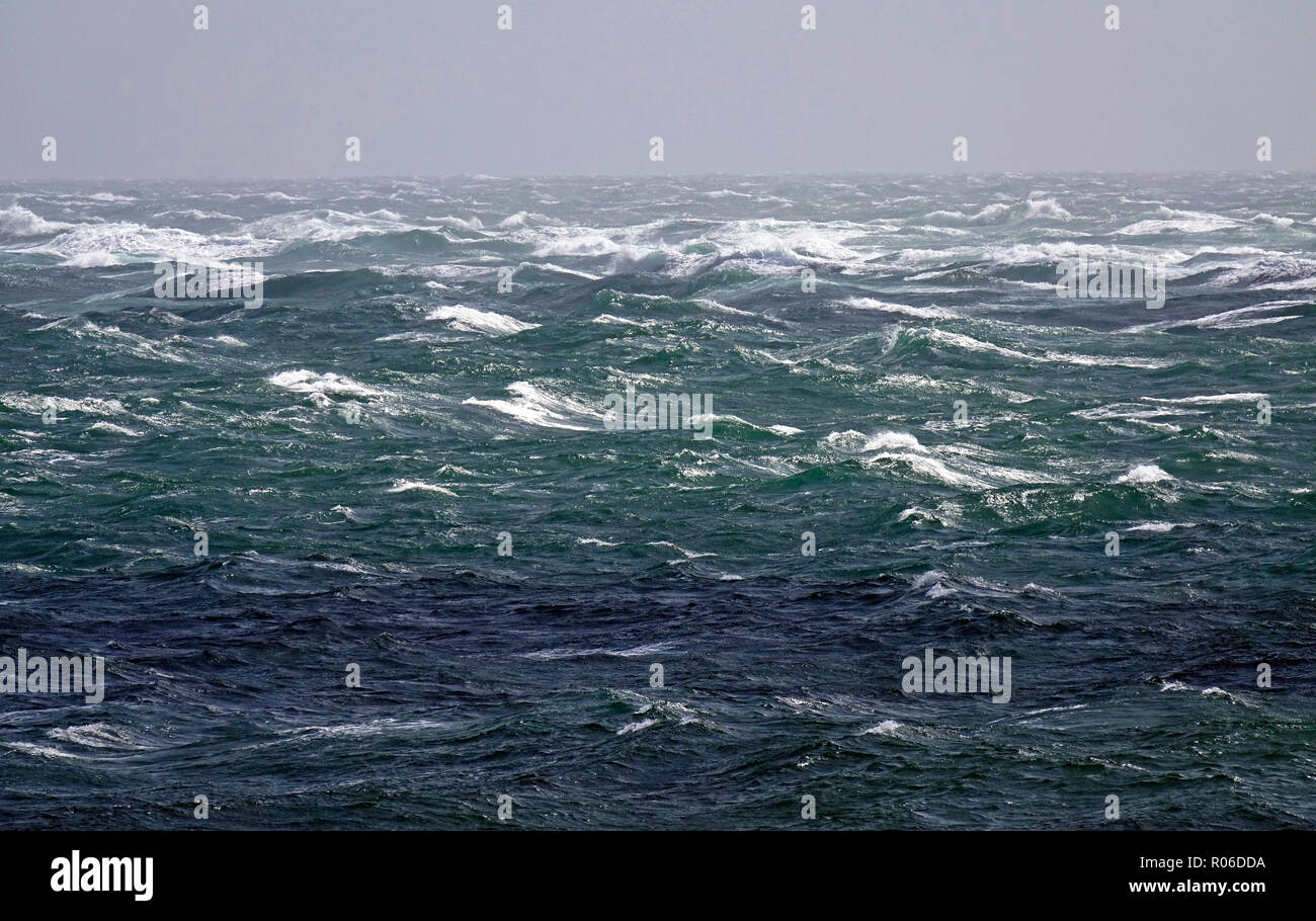Portland gara di marea in una forza 8 gale off Portland Bill, Dorset, England, Regno Unito, Europa Foto Stock