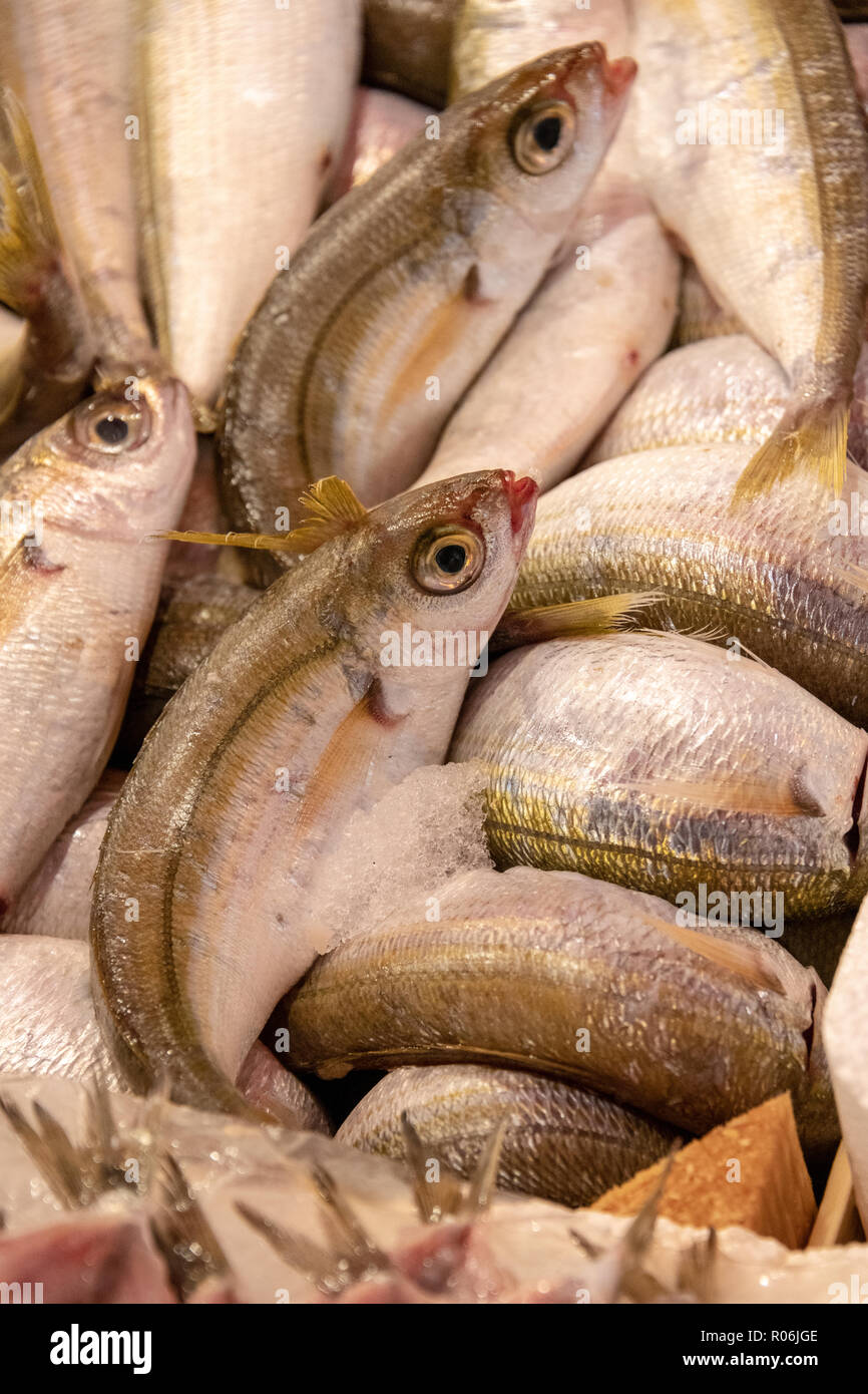 Il piccolo pesce per la vendita nel mercato Foto Stock