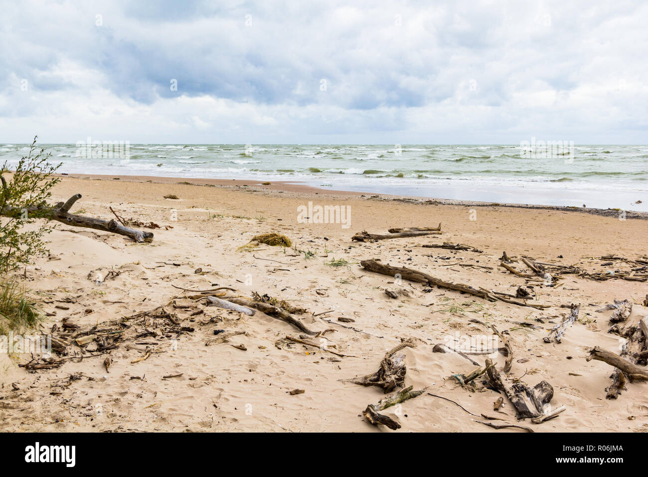 Mar baltico con driftwood sulla spiaggia Foto Stock