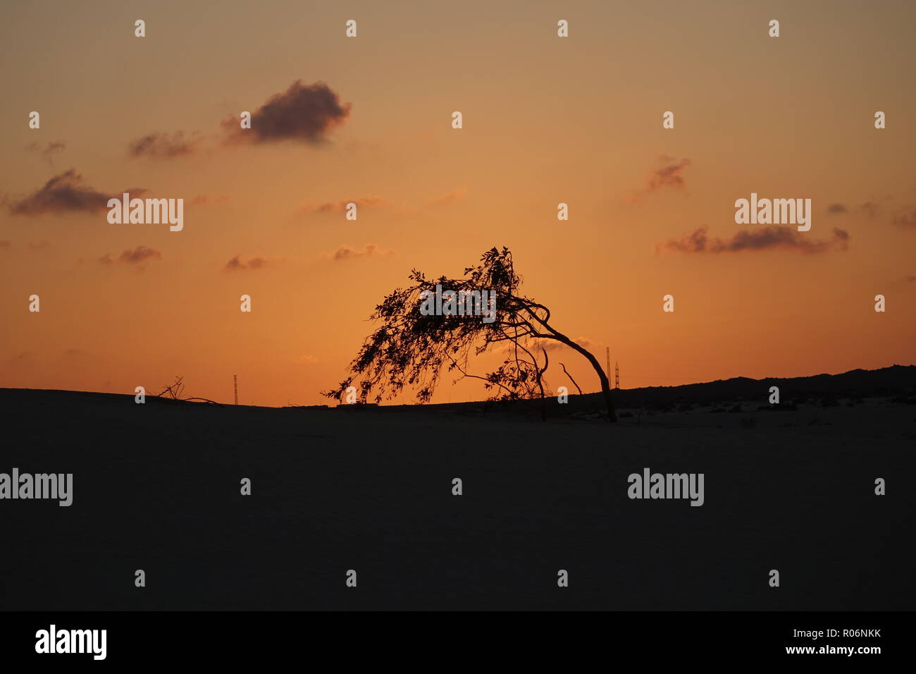 Bel Tramonto sulle dune di sabbia nel Parco Naturale di Corralejo.Fuerteventura,Las-Palmas,Canary-Islands. Foto Stock